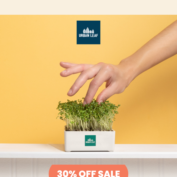 🌱 Save 30% on Microgreens (& Bundles)  🌱