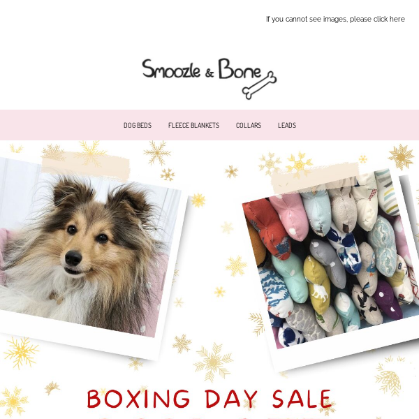 Boxing Day Sale: 20% OFF 🎁
