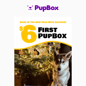 🎊Welcome 2023 with a $6 PupBox! 🎊
