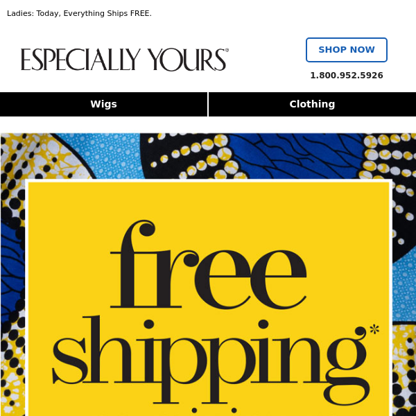 FREE SHIPPING…Gone in a Flash!
