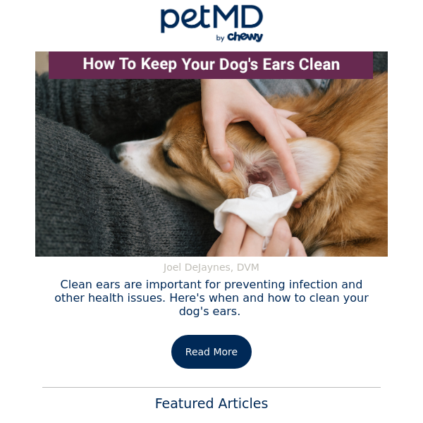 How To Keep Your Dog's Ears Clean