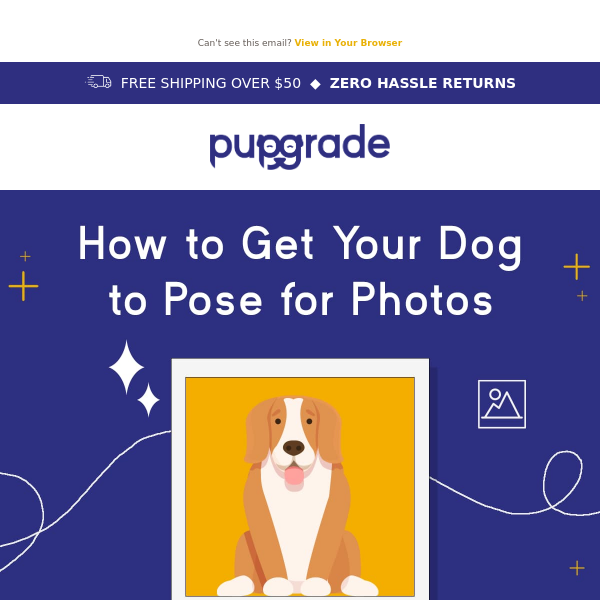 How to get your dog to pose for photos!