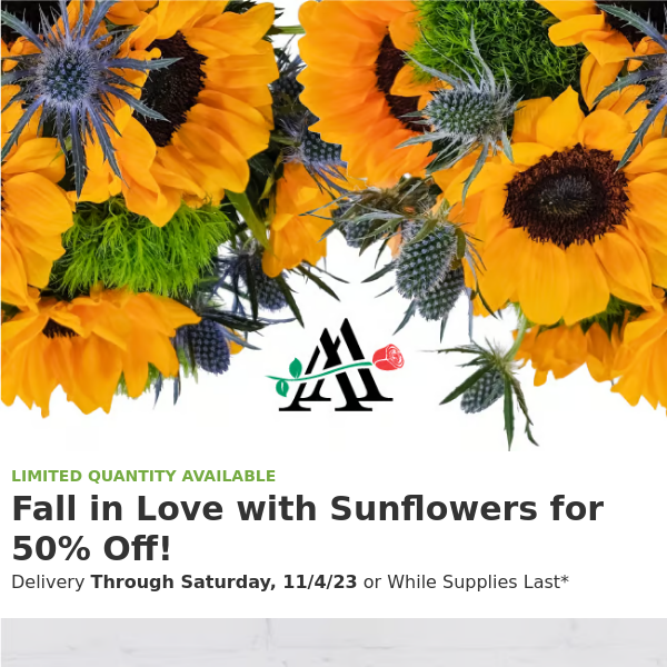 🌻Sunflower Sale Alert🌻 Save 50% While Supplies Last