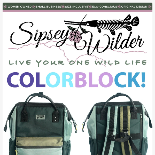 NEW! Colorblock Laptop Backpacks & Rovers!🌲🌊
