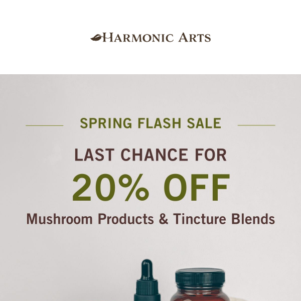 ✨ Last chance: 20% Off Tinctures & Mushrooms