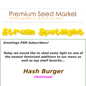 💡Strain Spotlight: Hash Burger (feminized)🍔