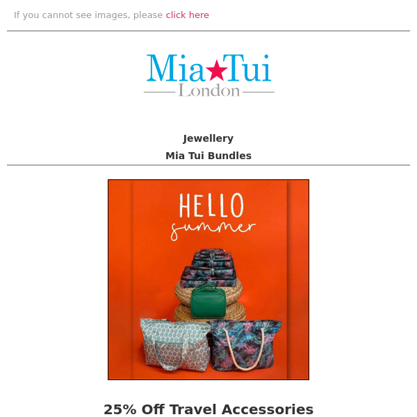 25% Off Travel Accessories