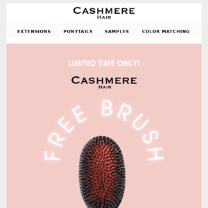 TODAY ONLY: Free Brush With Purchase! 🎁