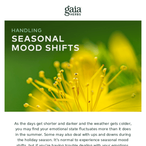 Natural & Herbal Remedies for Seasonal Mood Shifts