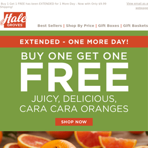 🍊🍊 EXTENDED - One More Day to Buy One Get One FREE! 🍊🍊