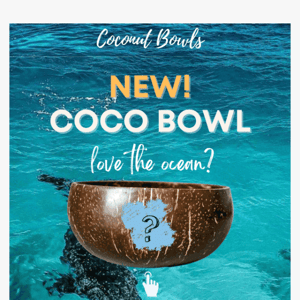 NEW! Coco Bowl