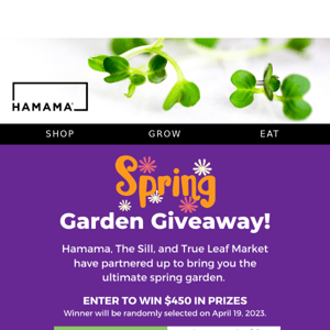 🌷 Spring into a NEW giveaway! 🎉