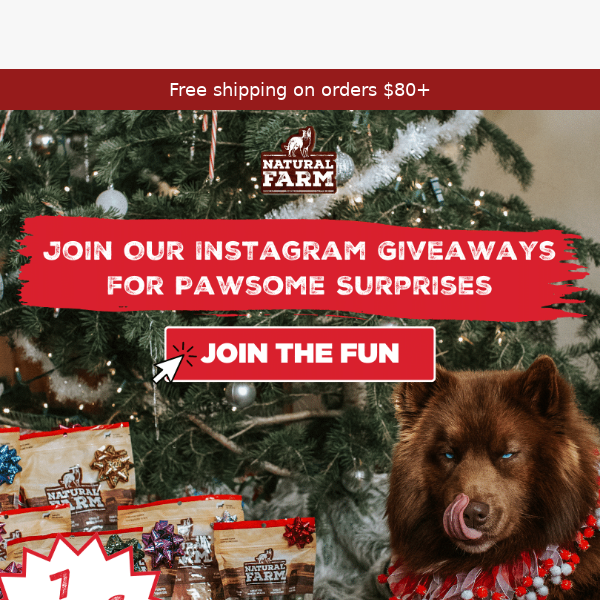 Join Our Giveaway for Pawsome Surprises!