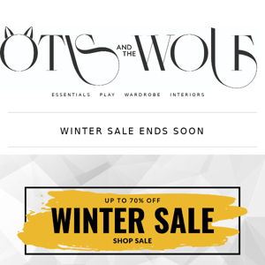 Winter Sale Ends Soon ⏰