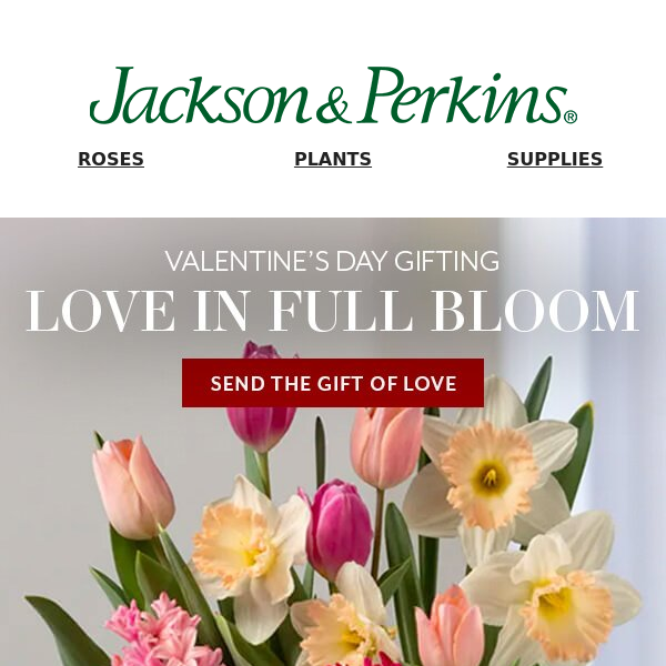 Watch Your Love Bloom: Valentine's Day Gifts from Jackson & Perkins