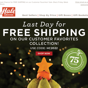 Last Day for FREE SHIPPING on our Customer Favorites Collection!
