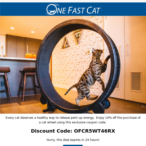 One fast hotsell cat exercise wheel