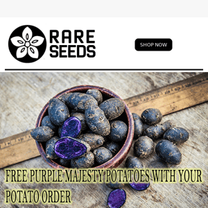 🥔🌱 GET FREE PURPLE MAJESTY POTATOES WITH YOUR POTATO ORDER!