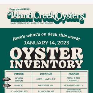 It's Fat Oyster Season - Take Your Pick!