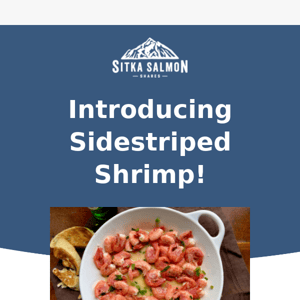 Introducing… 🥁 Sidestriped Shrimp!