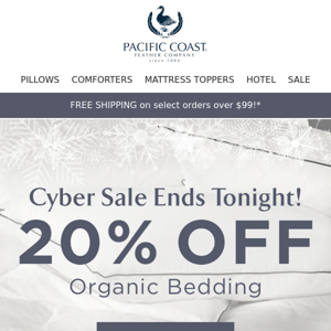 20% OFF Cyber Deals Ends Tonight.