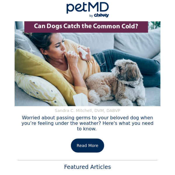 Can Dogs Catch the Common Cold?