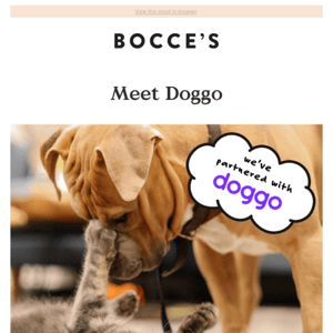 Meet Doggo!