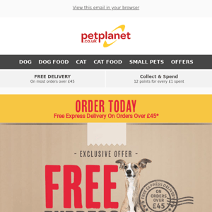 No Time To Paws! Get FREE Express Delivery*