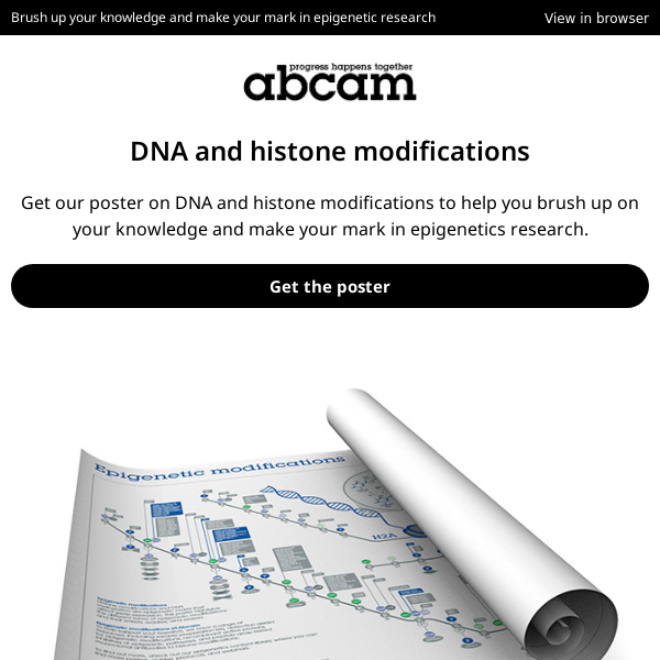 DNA and histone modifications poster