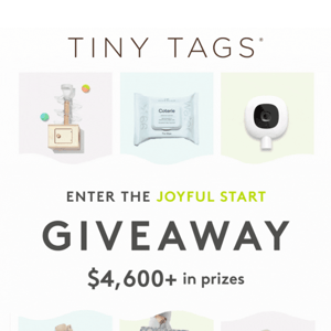 Enter To Win Over $4,600 In Prizes 💝