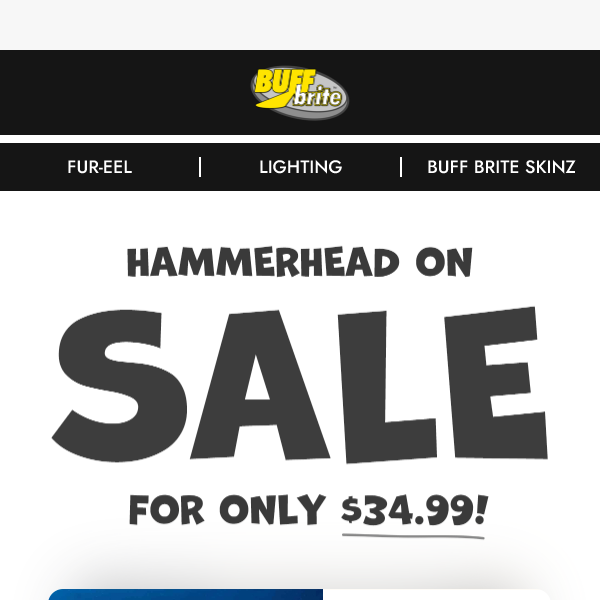 HAMMERHEAD ON SALE!!