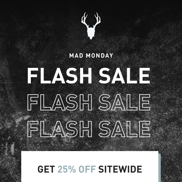 Surprise Flash Sale!