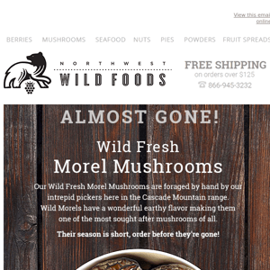 Fresh Morel Mushrooms are almost gone!