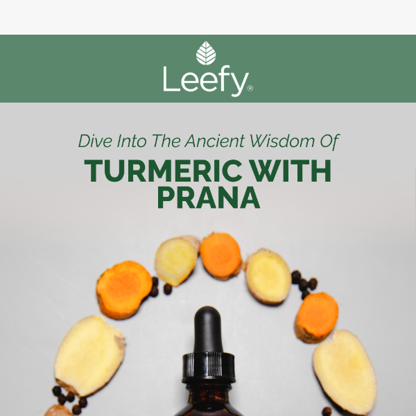 Unlock the Secrets of Turmeric in PRANA 🌿