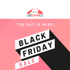 Black Friday Is Here! Show Your Cat Some Love 💝
