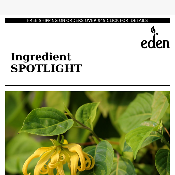 Eden Botanicals Spring Ingredient Spotlight, 2023