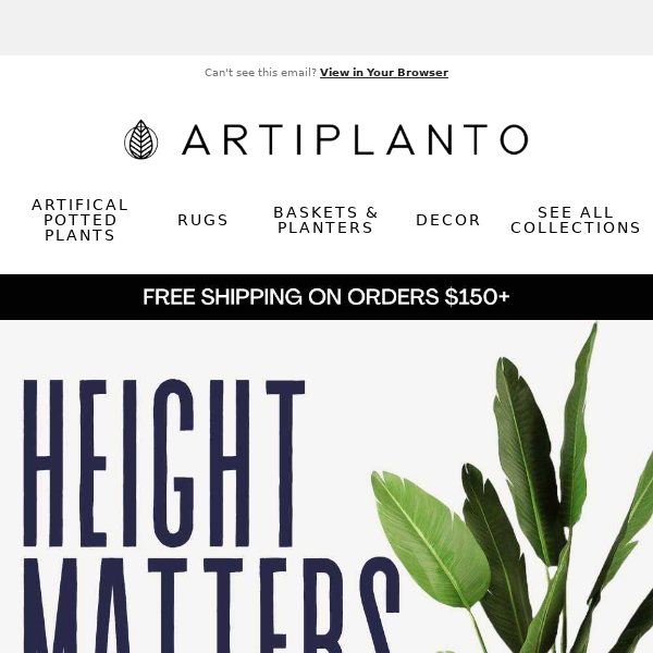 🌿Reach New Heights With 6-Foot Plants Artiplanto