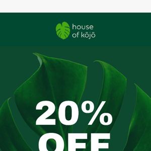 Our 20% off Boxing Day Sale Starts NOW 🌿💰