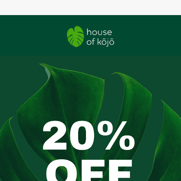 Our 20% off Boxing Day Sale Starts NOW 🌿💰