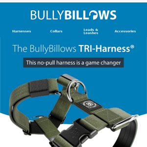 BullyBillows Tri-Harness: Walkies Made Easy 🐕‍🦺