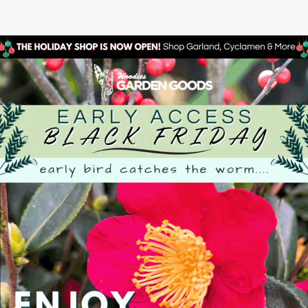 🚨EARLY ACCESS 30% OFF SITEWIDE BLACK FRIDAY DEALS🚨