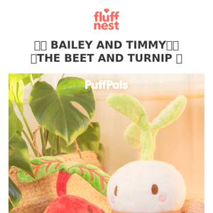 ✨🌦️🌱 BAILEY THE BEET AND TIMMY THE TURNIP! PRE-ORDERS ARE OPEN!🌱⛅✨