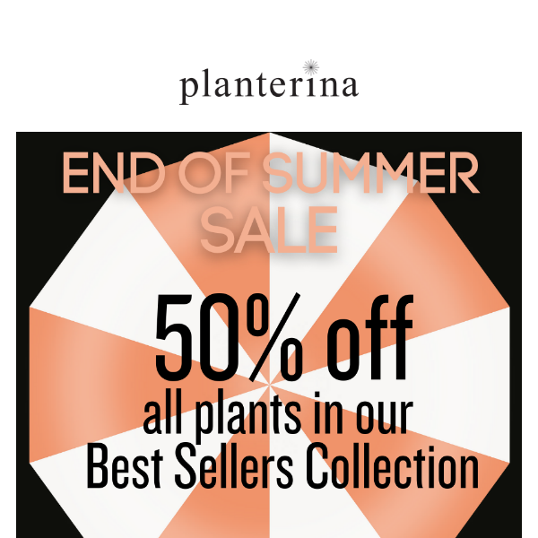 Our summer sale on thousands of NEW plants.⛱️