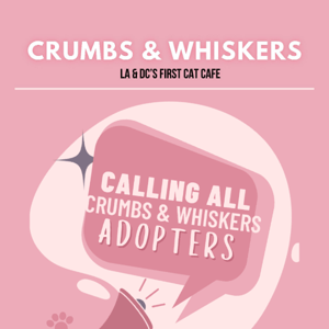 Calling All Crumbs & Whiskers Adopters!