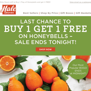 LAST CHANCE to Buy 1 Get 1 FREE on Honeybells - Sale Ends Tonight!