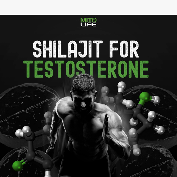 Shilajit for Testosterone & Male Fertility