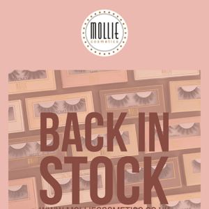 🚨 LASH RESTOCK! 🚨