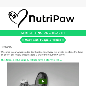 🐶 Uncover the Reasons Why Bert, Fudge & Tellula Adore NutriPaw! 💖