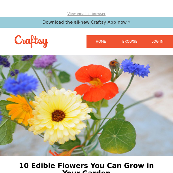 10 Edible Flowers You Can Grow in Your Garden