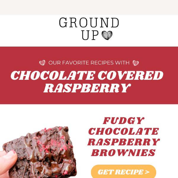 Fudgy Chocolate Rasberry Brownies 🍫🤤